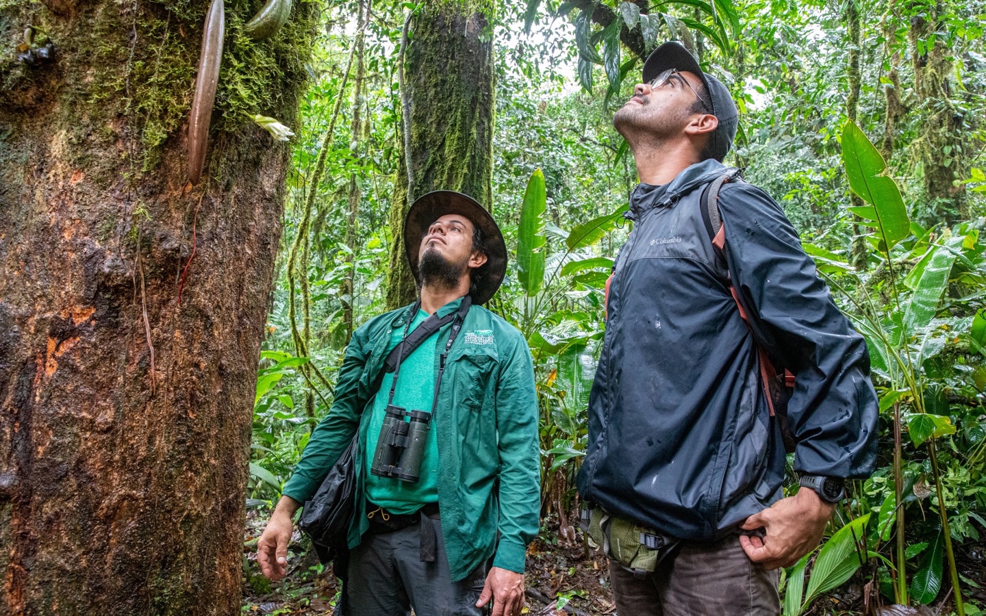 Esteban And Colleague In Rainforest