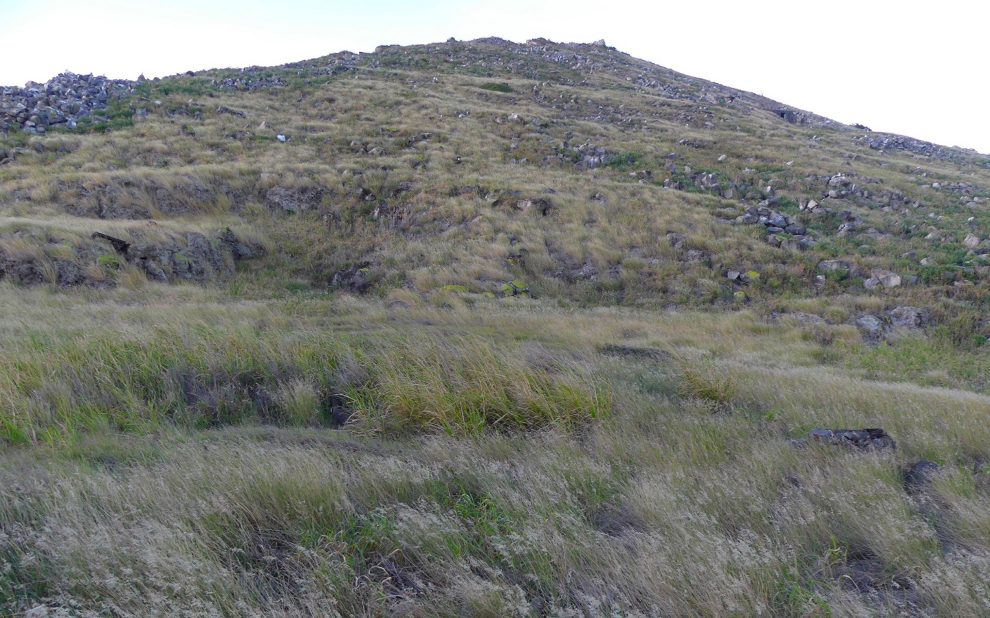 Redonda After Part 1