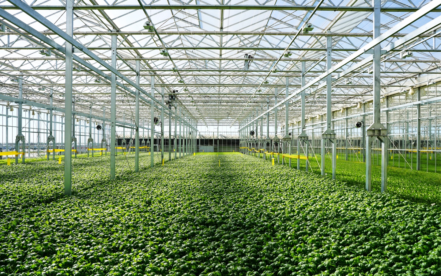 Gotham Greens Indoor Farm