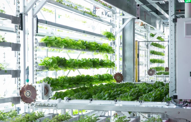 Indoor Farming Is the Future of Agriculture