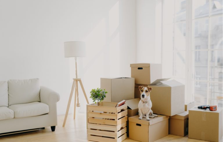 7 Eco-Friendly Tips For a Sustainable Move