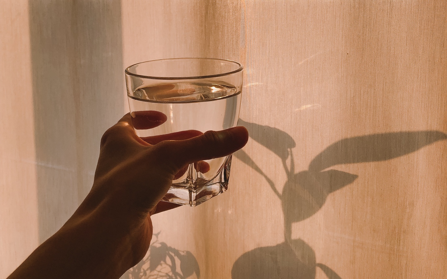 Person Holding Glass of Water