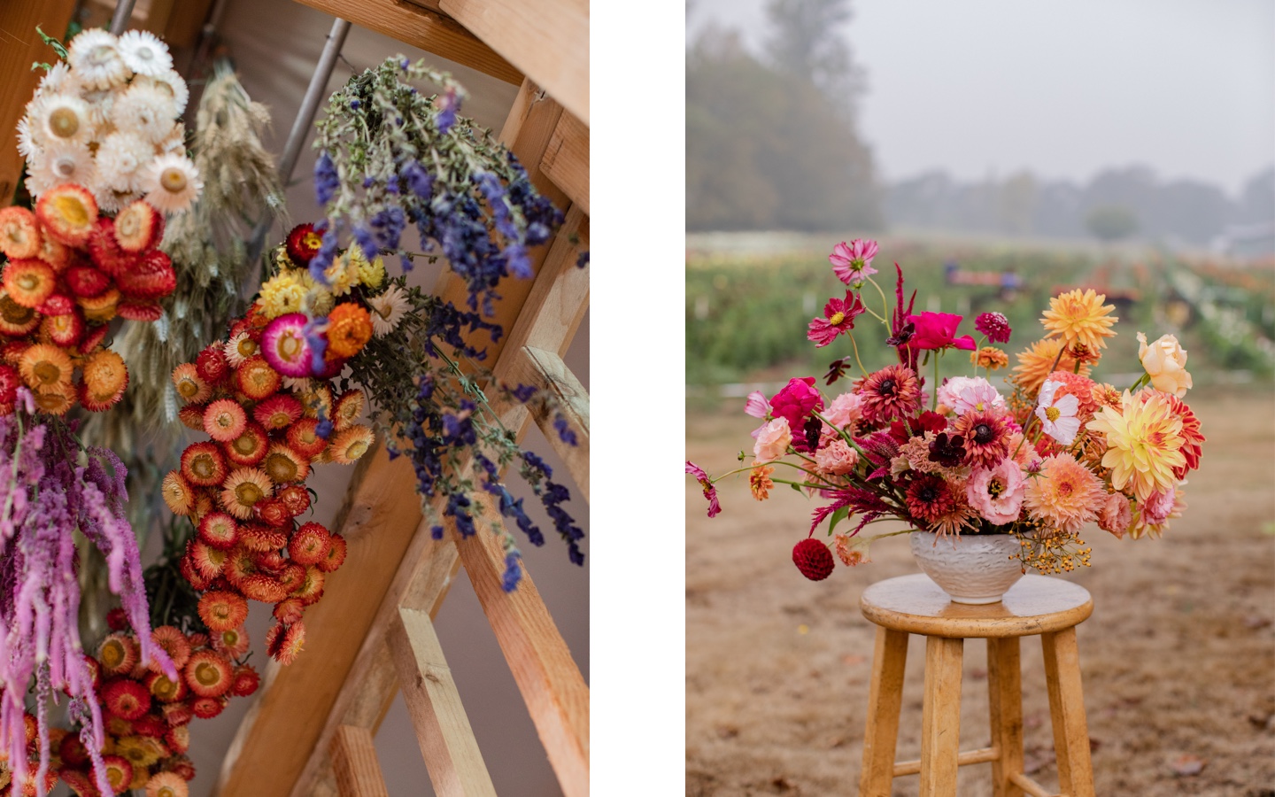 Where Do Florists Get Their Flowers? Exploring the Floral Supply Chain -  Berkeley Florist Supply