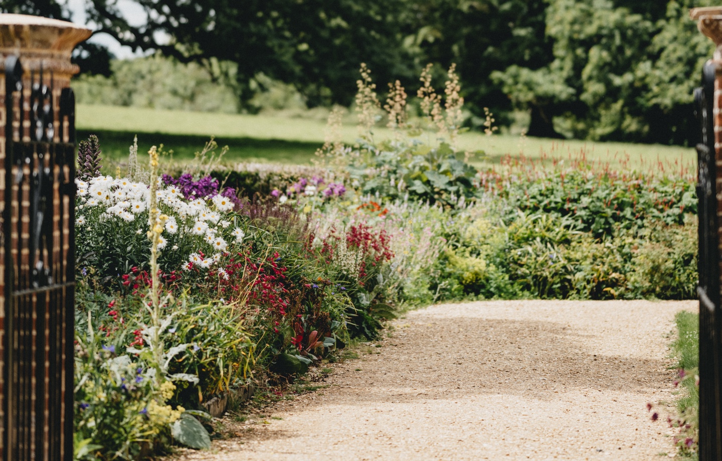 Flowering Plant Garden