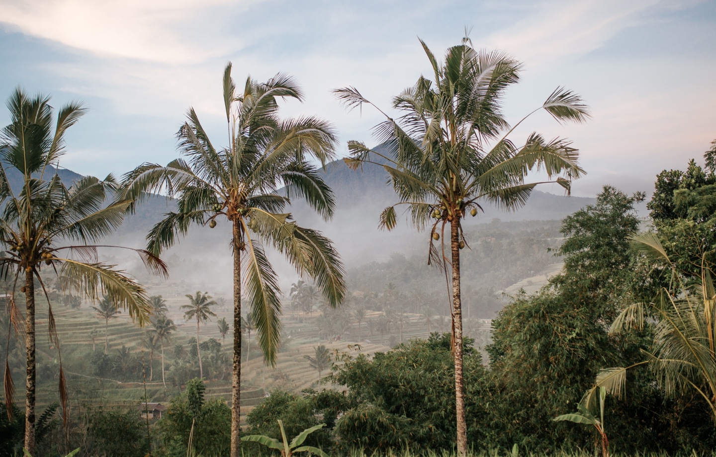 Bali