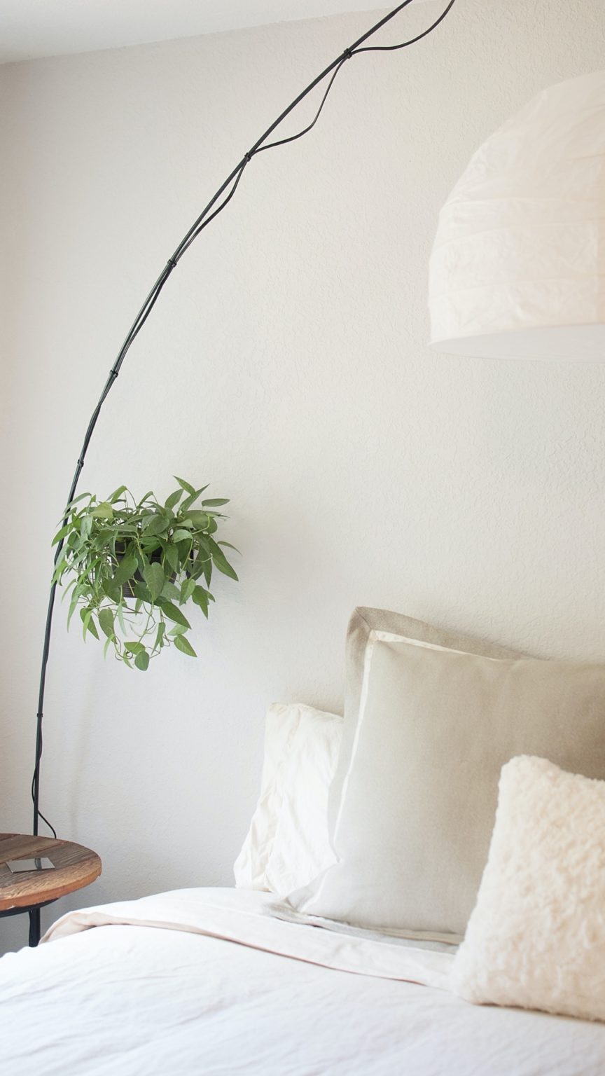 6 NonToxic Interior Paint Brands We Trust Avocado Green® Magazine