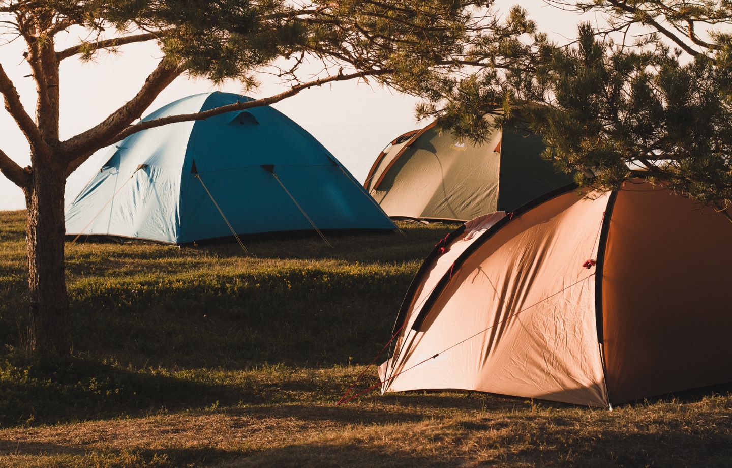 https://magazine.avocadogreenmattress.com/wp-content/uploads/2022/08/Camping-Tents.jpg