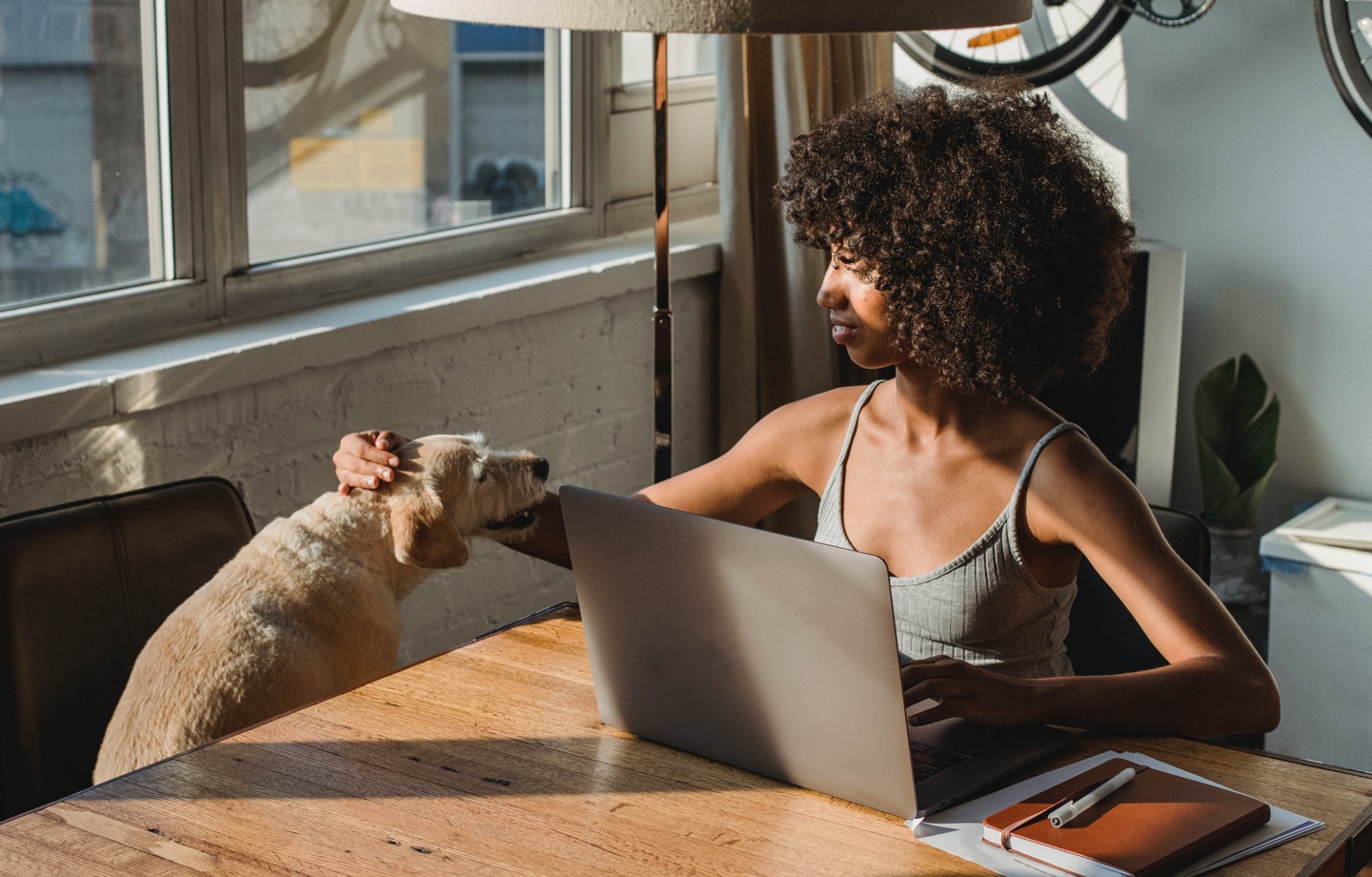 Woman At Laptop With Dog