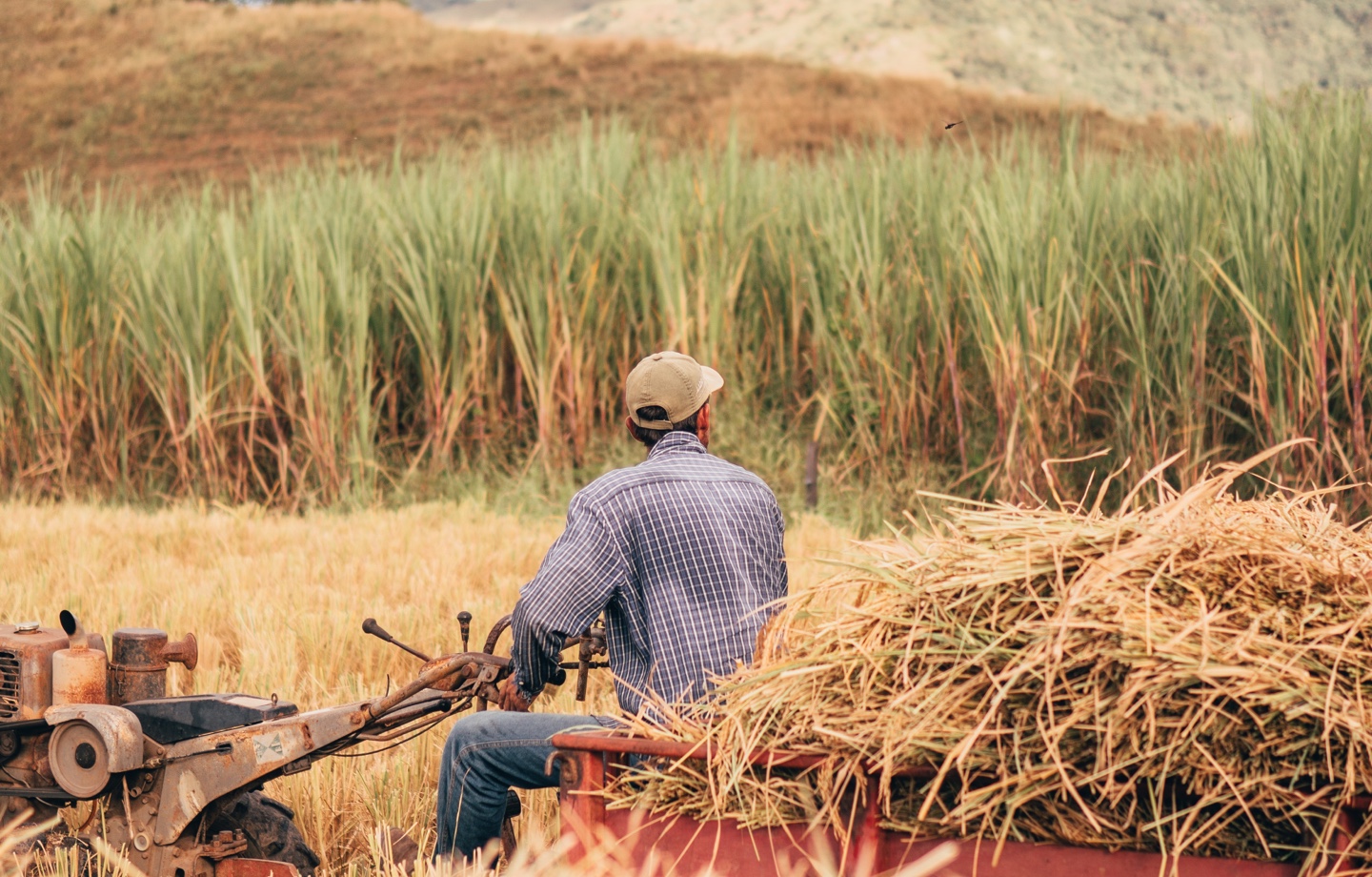California Farmer