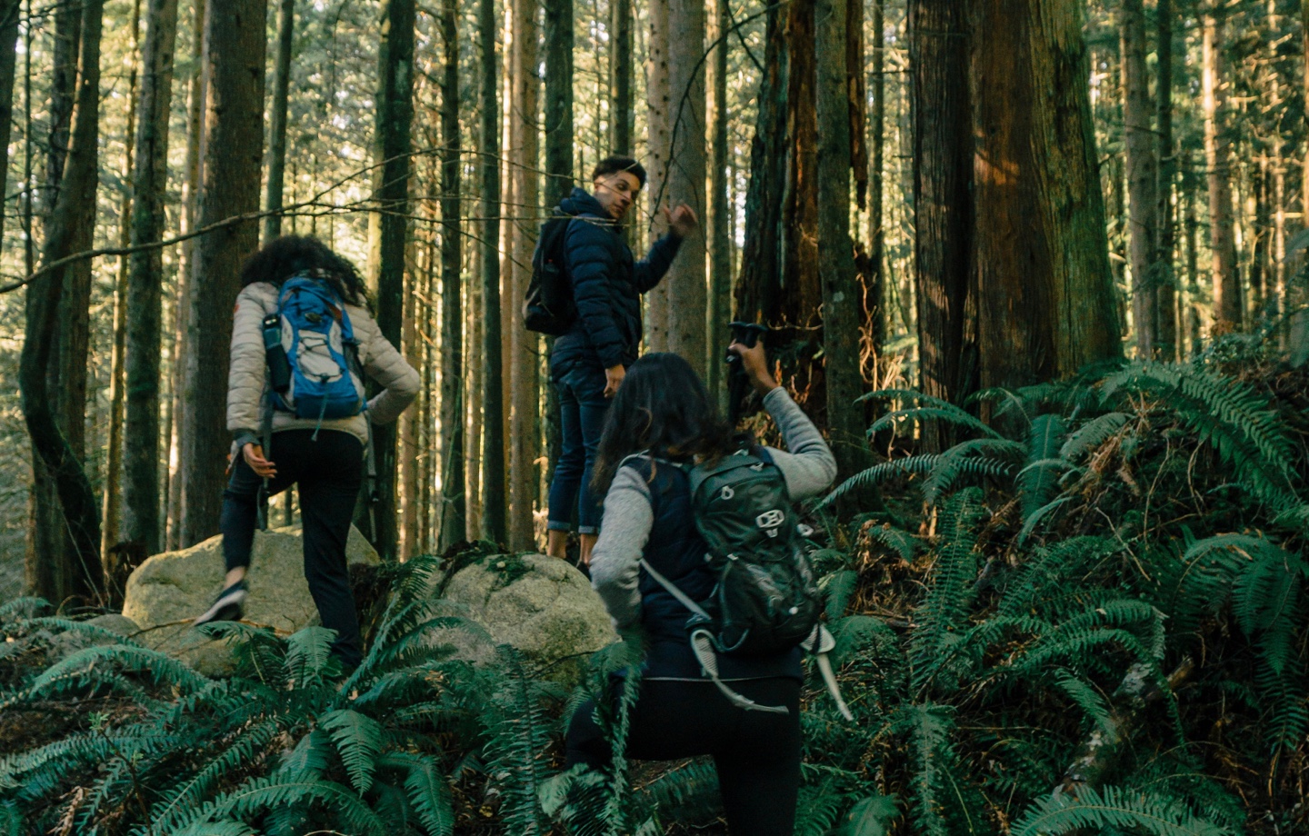 Friends Hiking