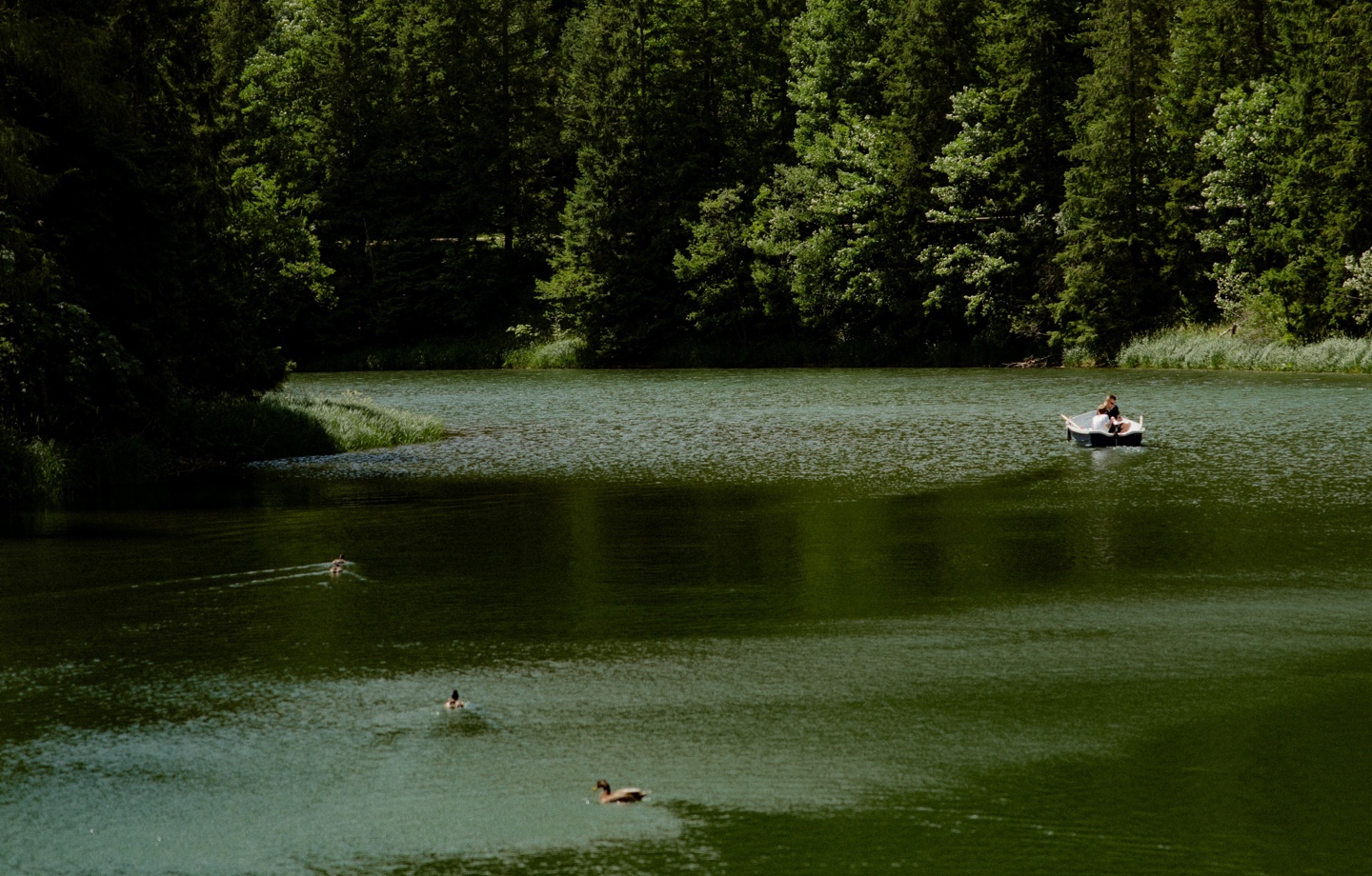 Friends Swimming In Lake