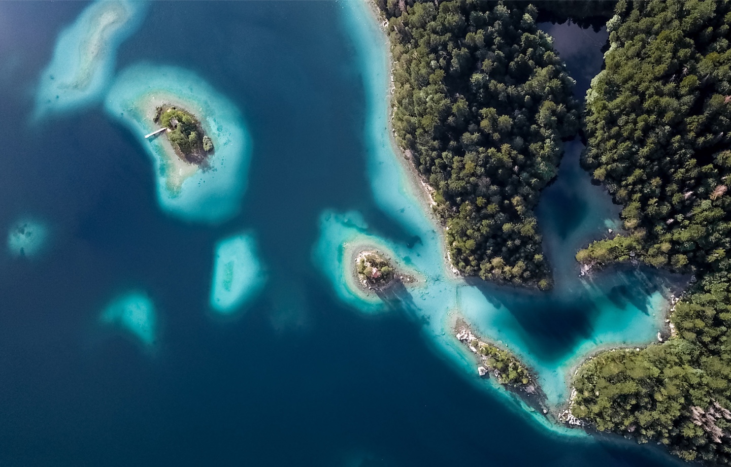 Ocean