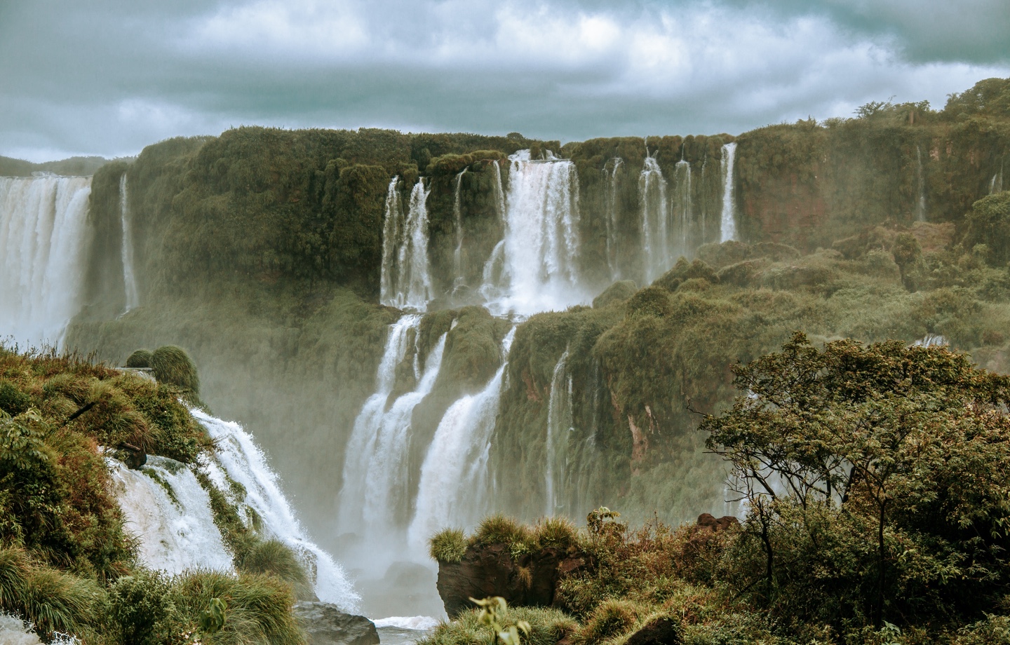 brazil amazon rainforest