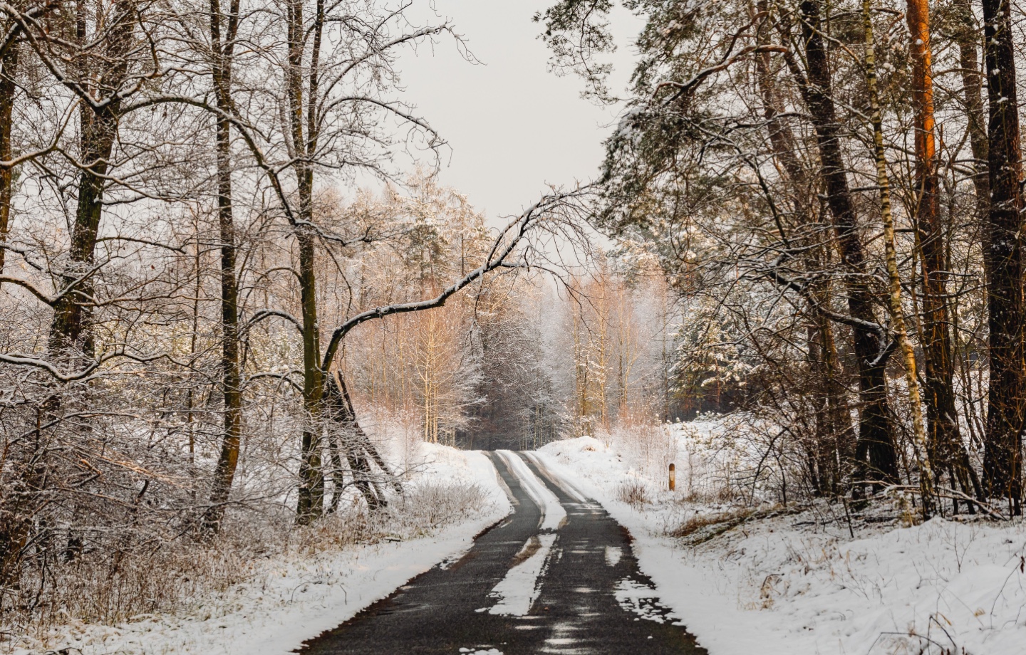 Snowy Road