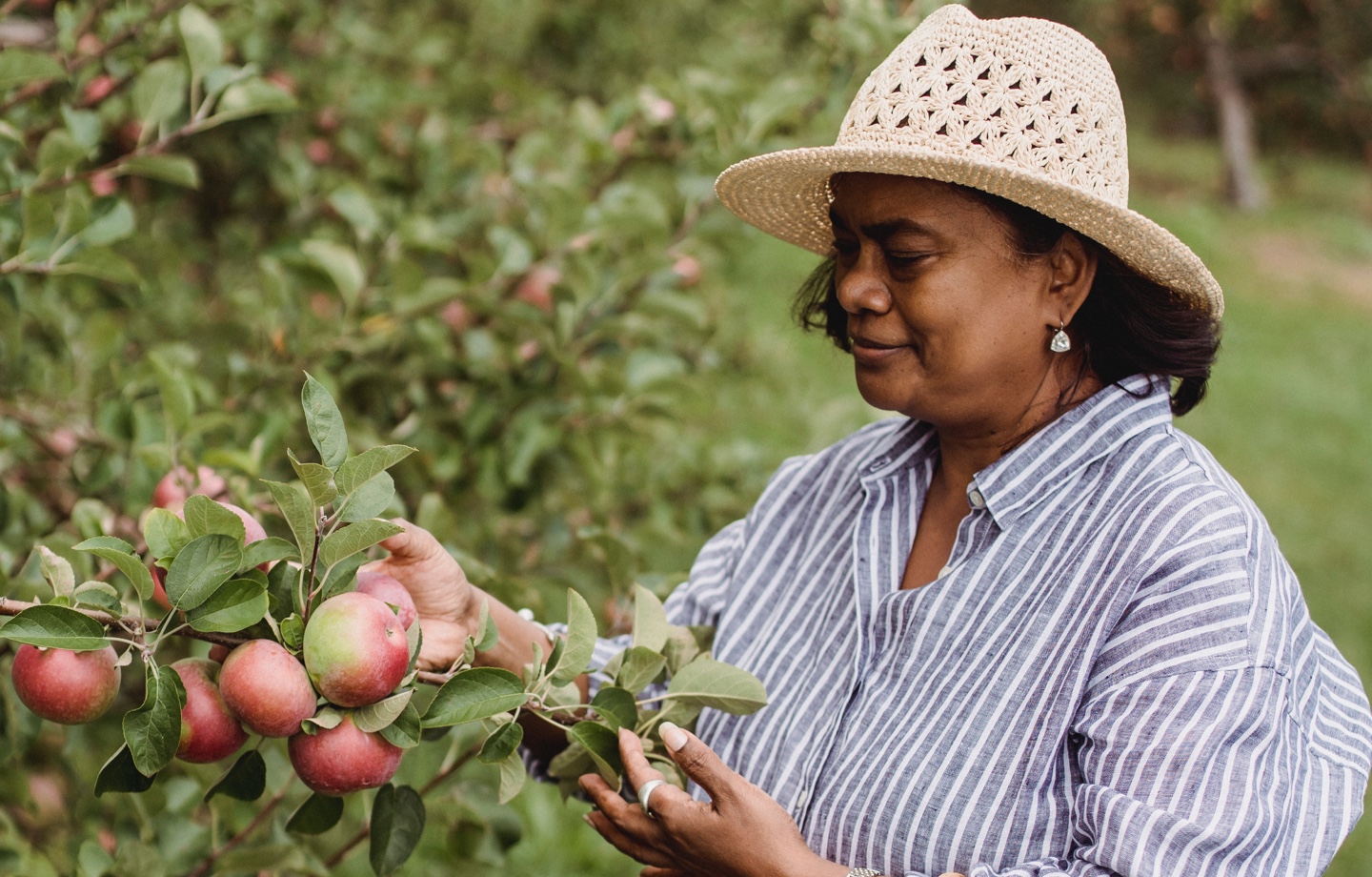 woman apple picking