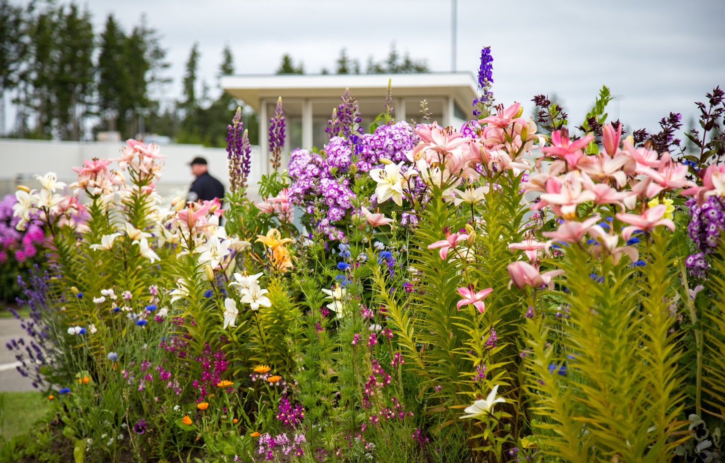 pollinator garden outside of washington prison