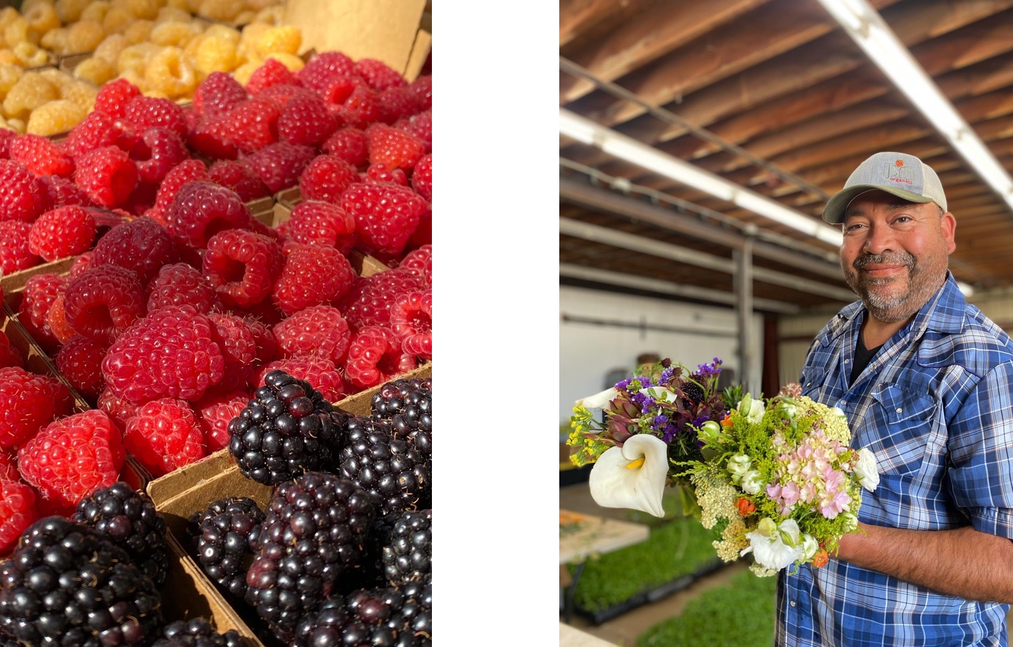 JSM Organics berries and Javier Zamora holding a boquet of flowers