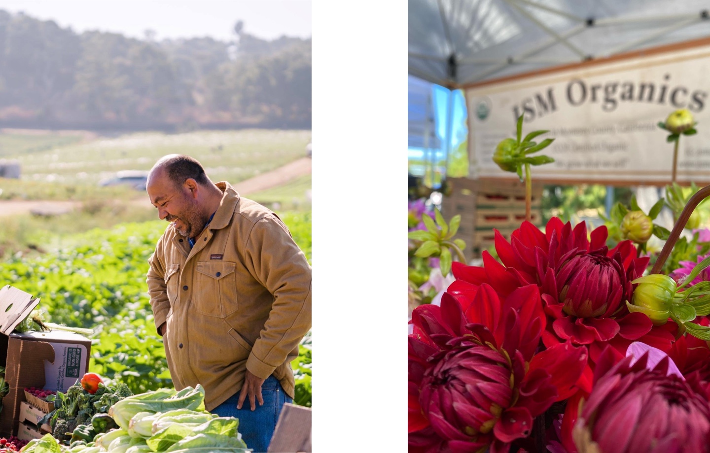 Javier Zamora and JSM Organics sign at farmers market