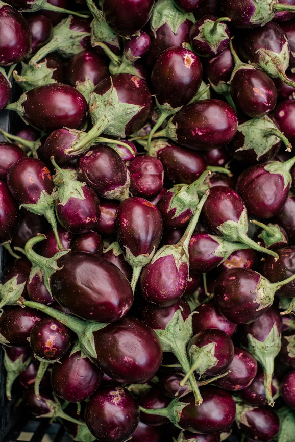 An Ode to the Eggplant