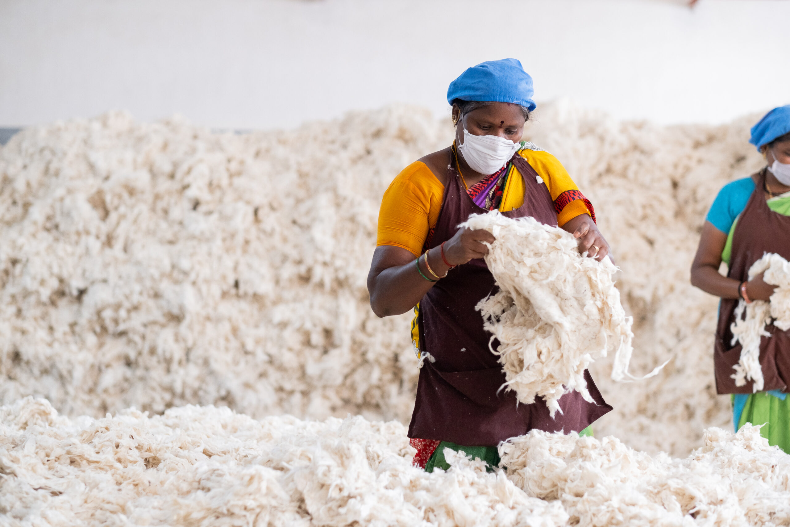 avocado organic wool at textile mill