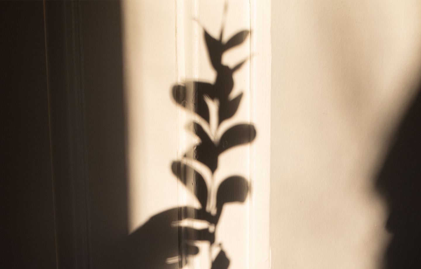 person putting plant into glass vase