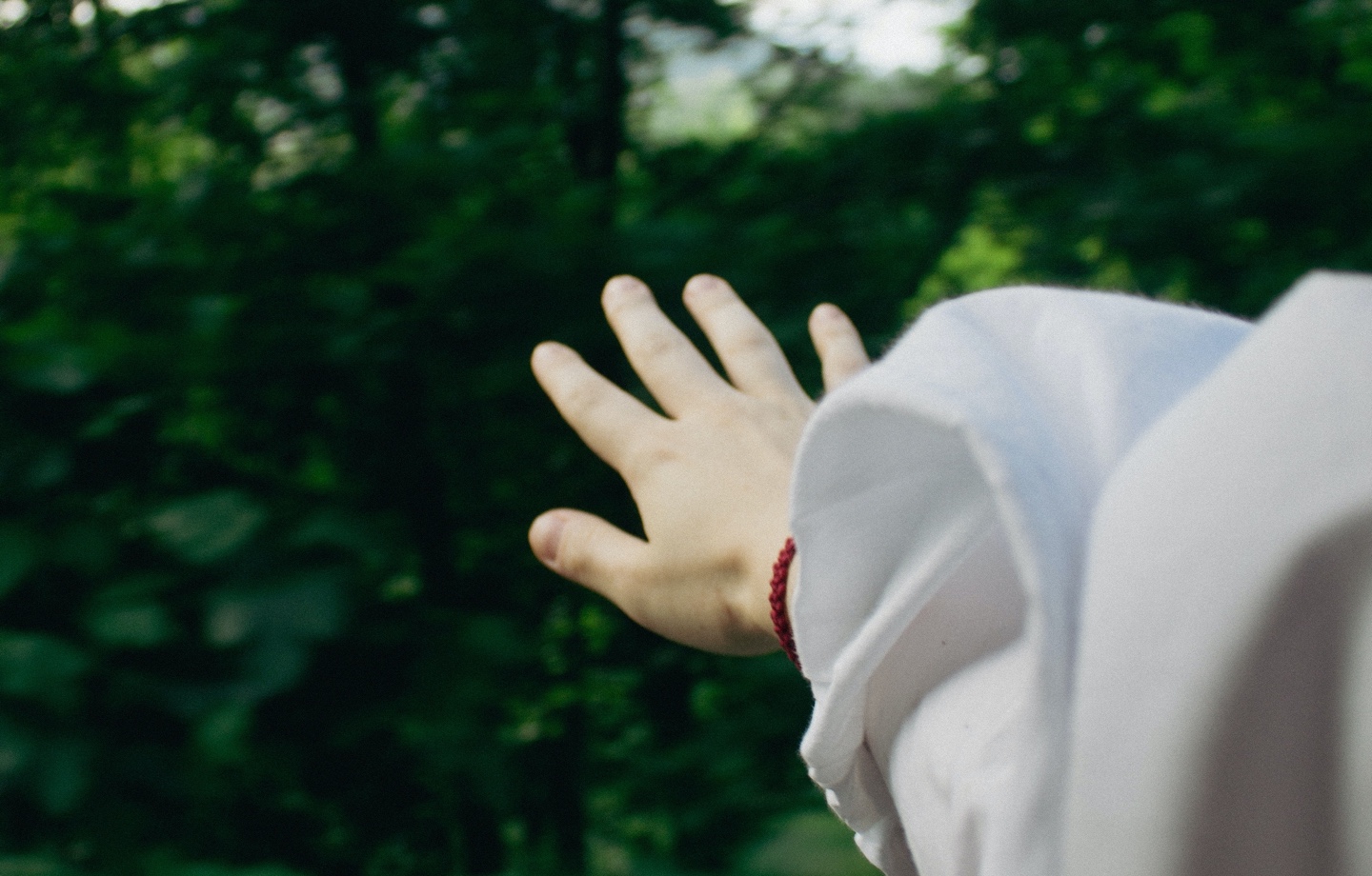 person with hand out of car window