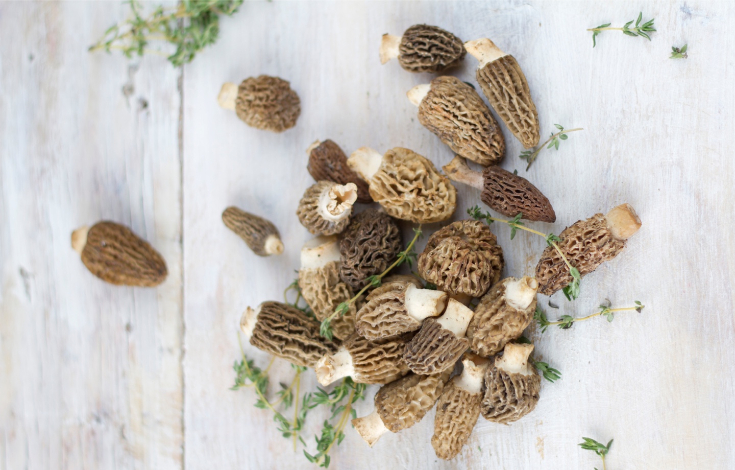 morrel mushrooms on a wooden table