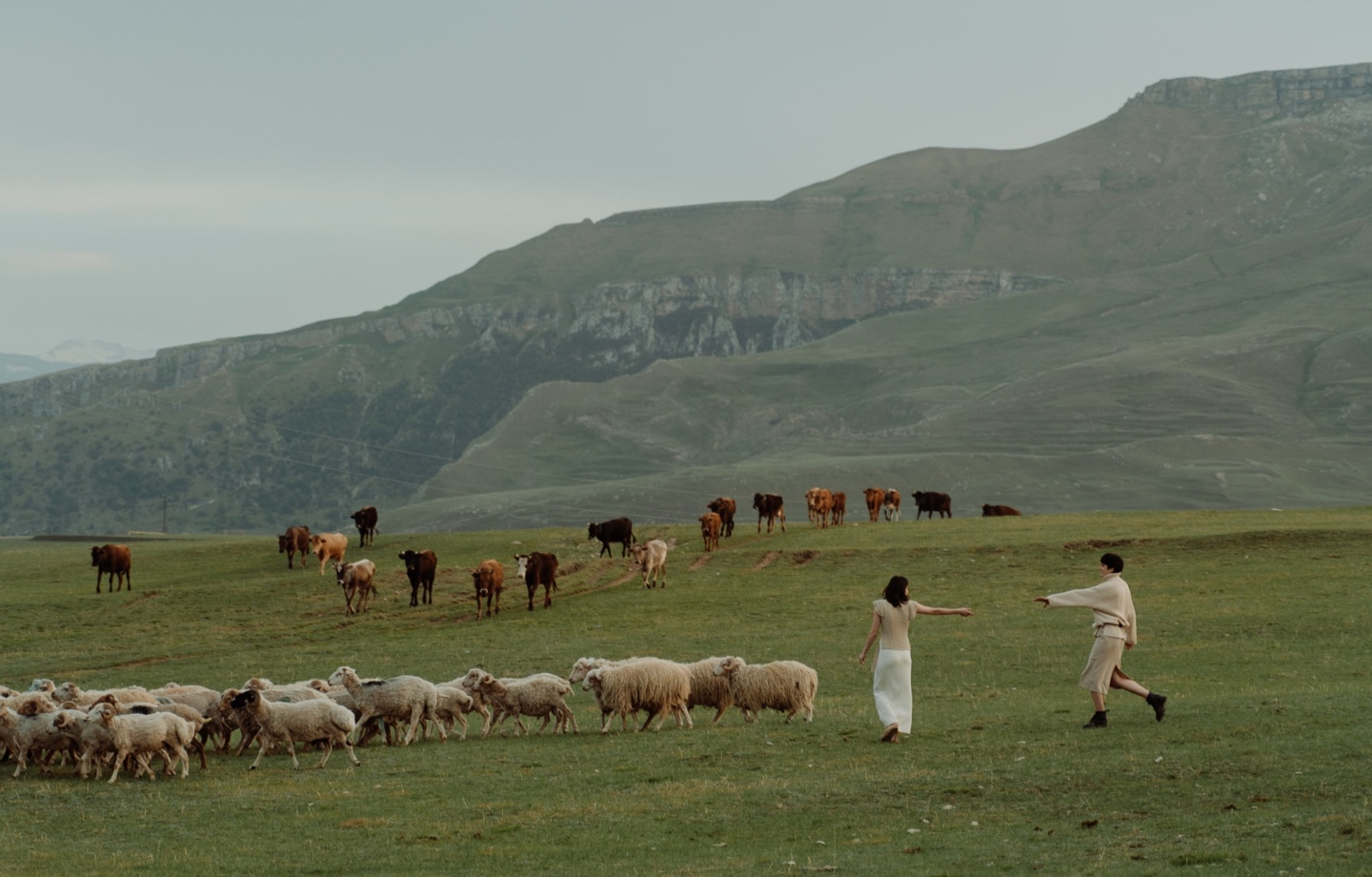 two people herding animals on grassland
