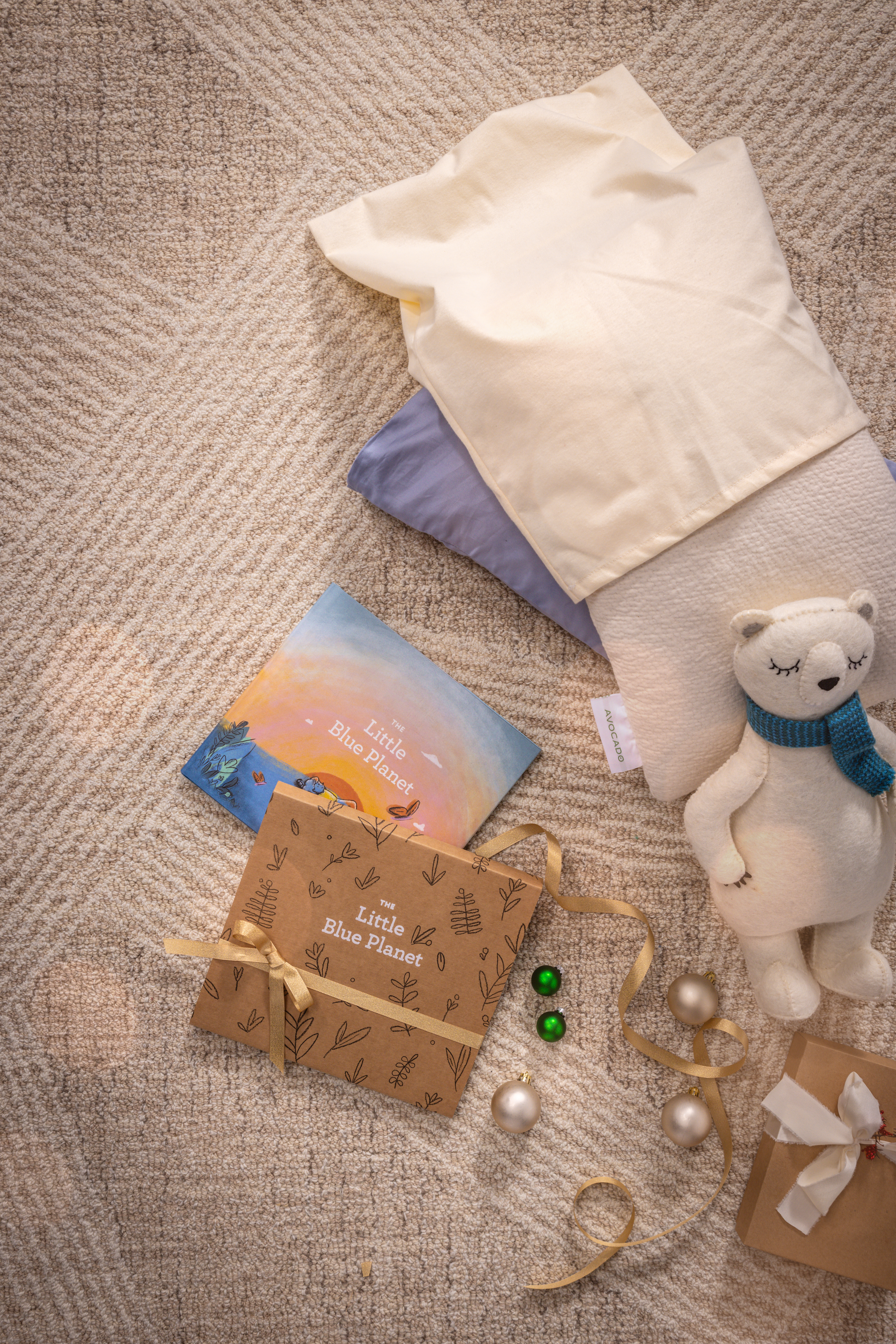 Toddler Pillow, Toddler Pillow Protector, Mini Pillow Case, Little Blue Planet Book