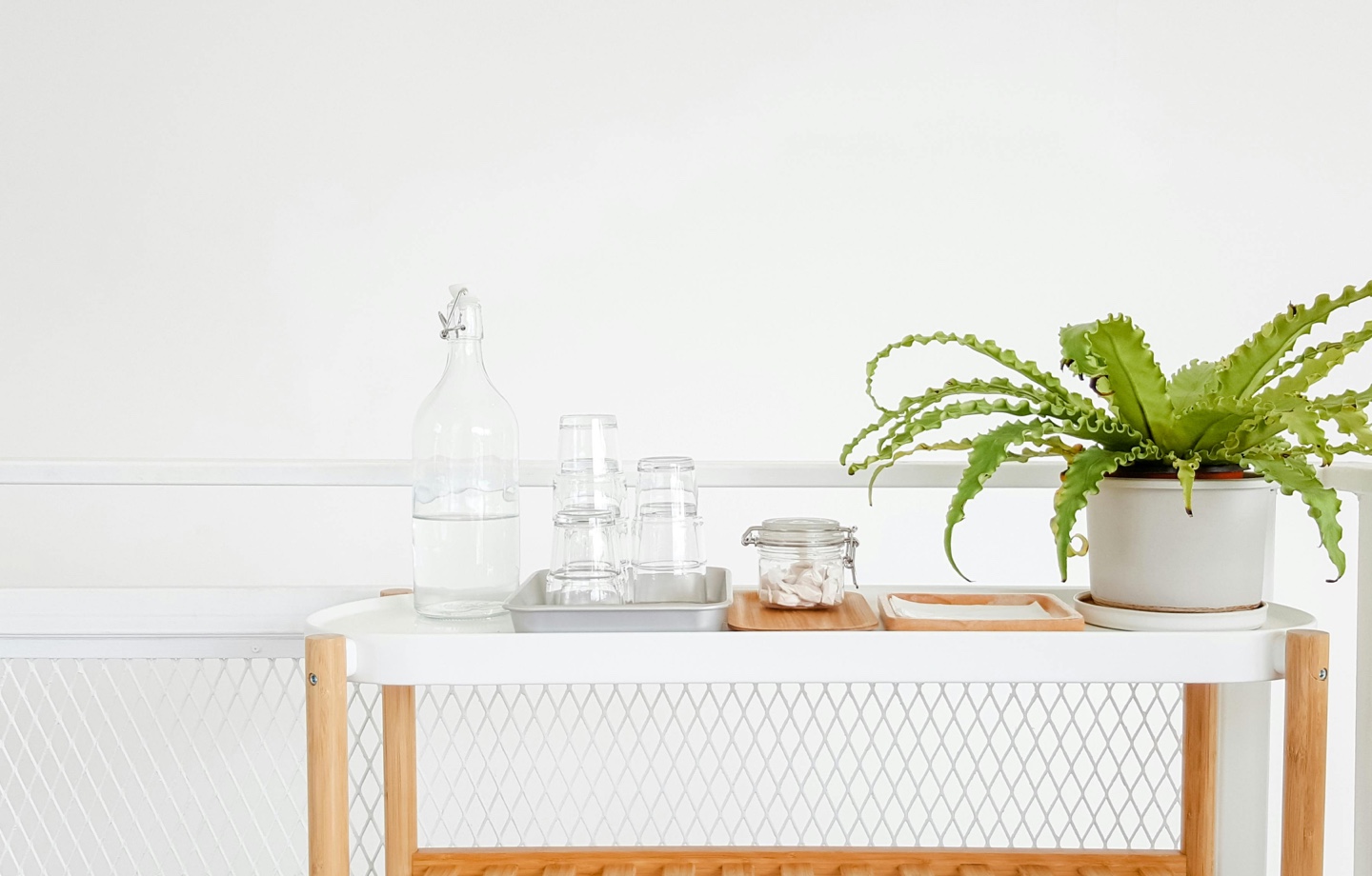 glass water bottle and cups next to fern plant