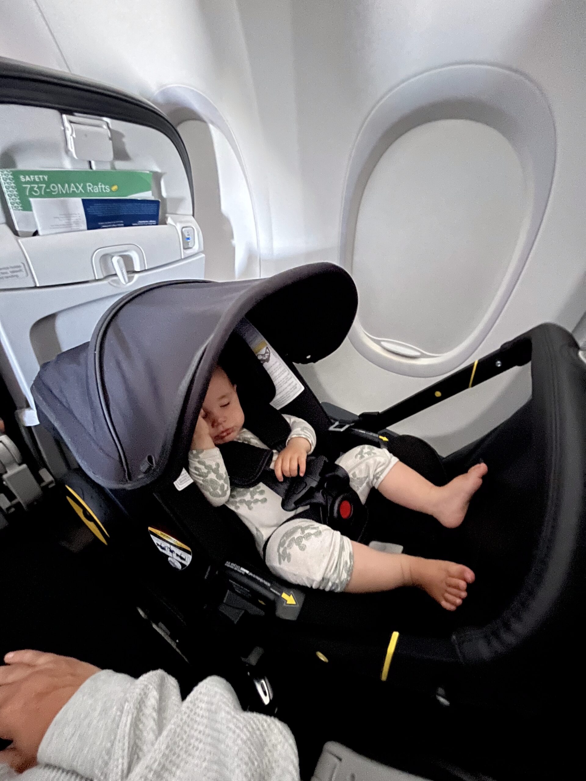 Spring Travel- Rachael Shepard-Ohta