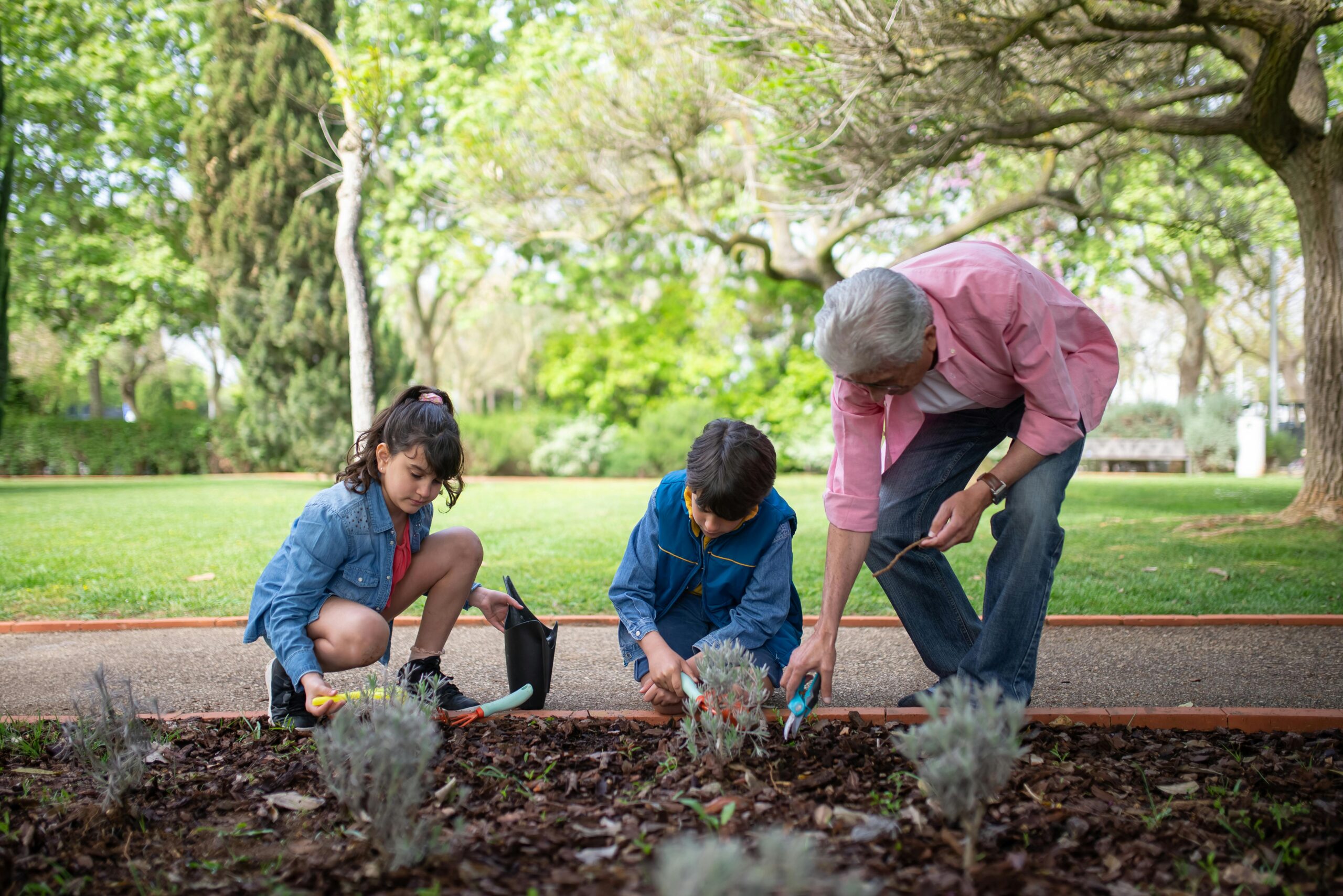pexels kids planting in a garden