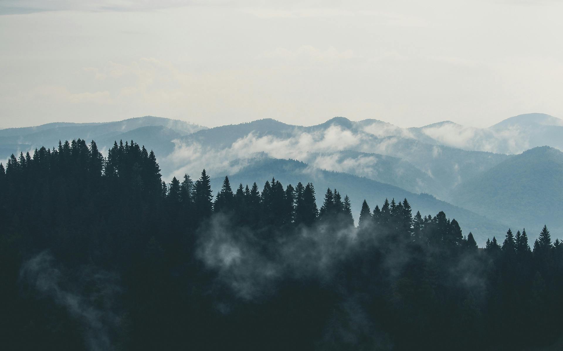 mountain with fog