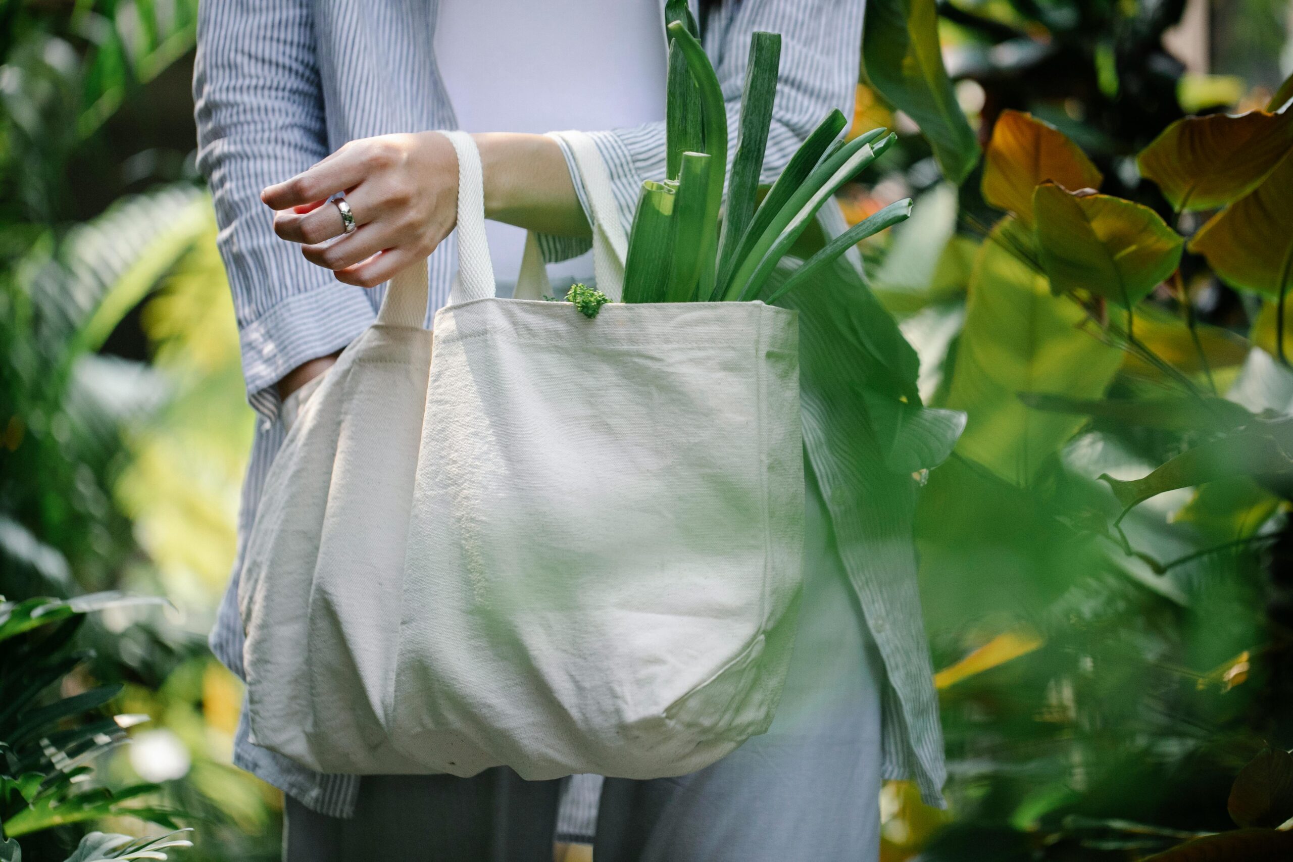 Eco Friendly reusable bag