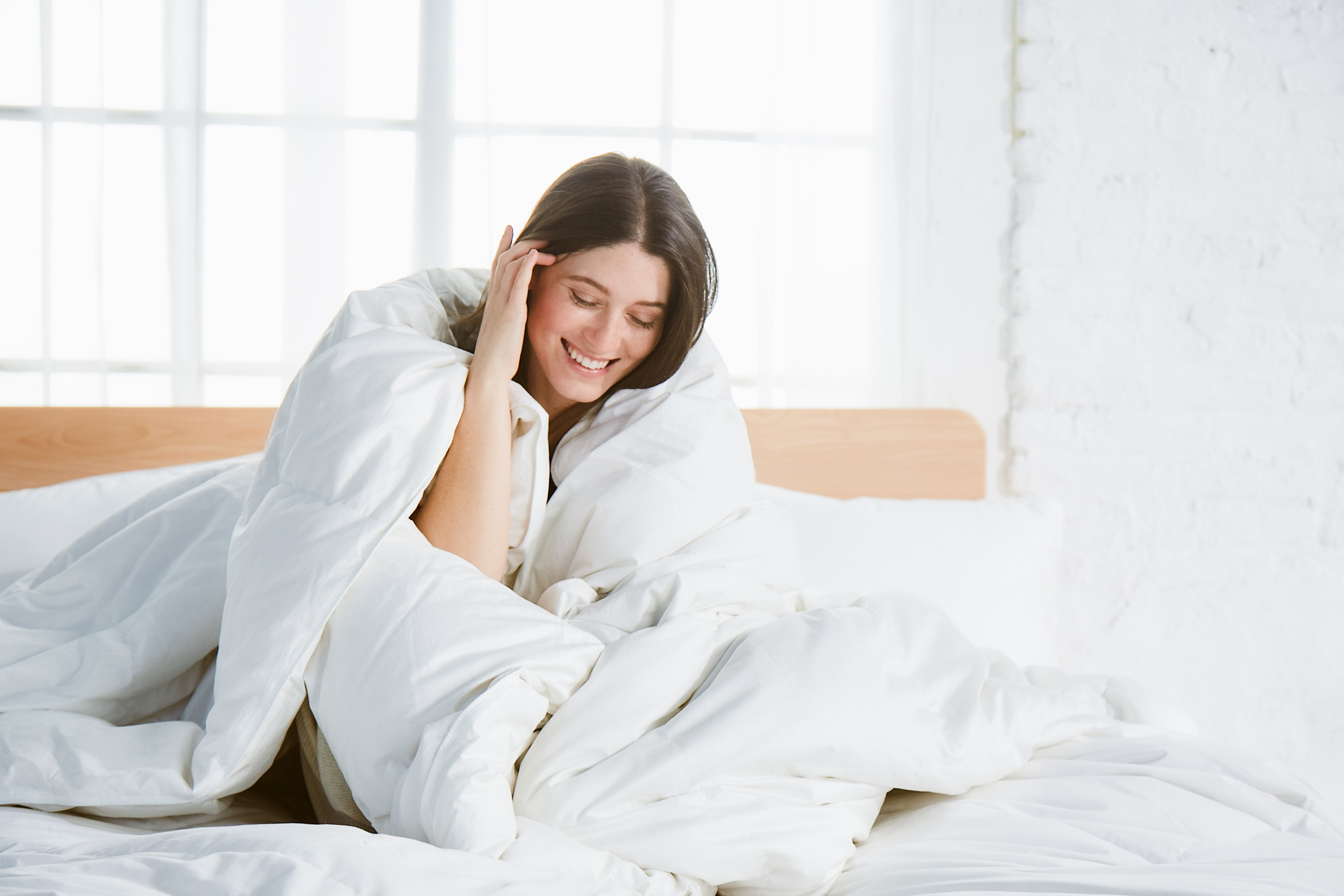 Down Duvet Insert