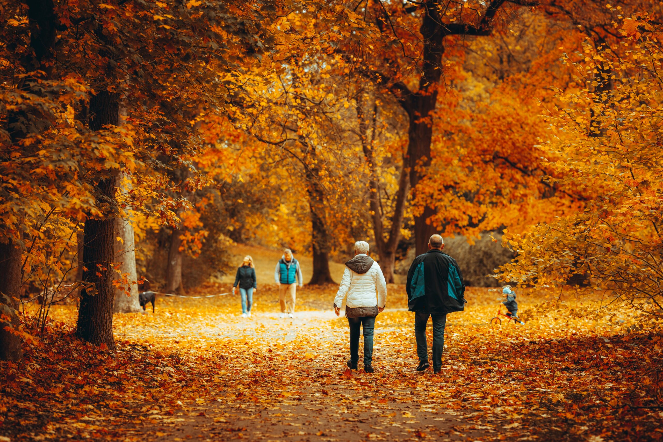 people walking in the park during fall