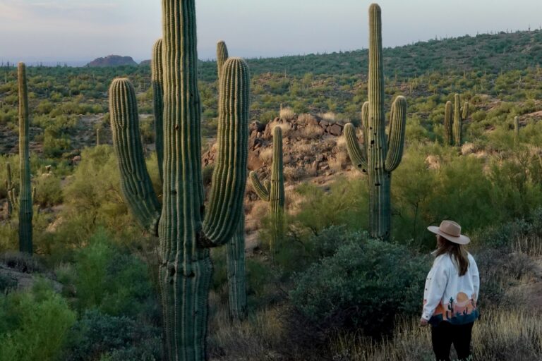 Scottsdale, Arizona Travel Guide