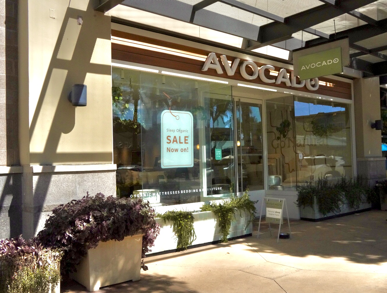 Scottsdale, AZ Avocado Store
