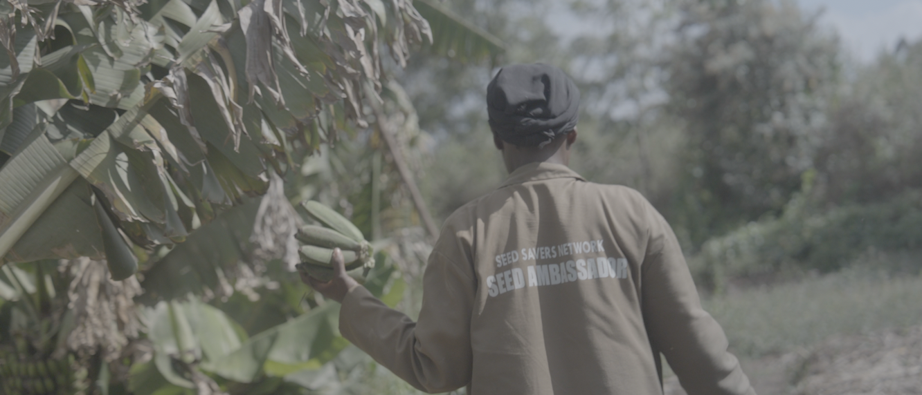 Food Forest Collab.