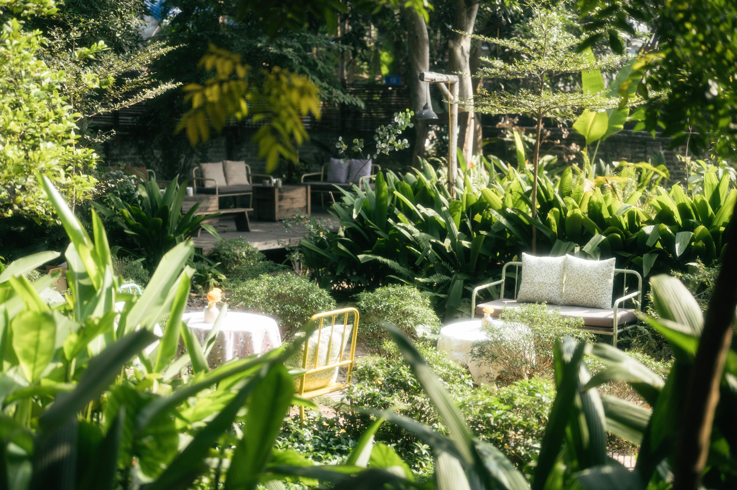 growing yard