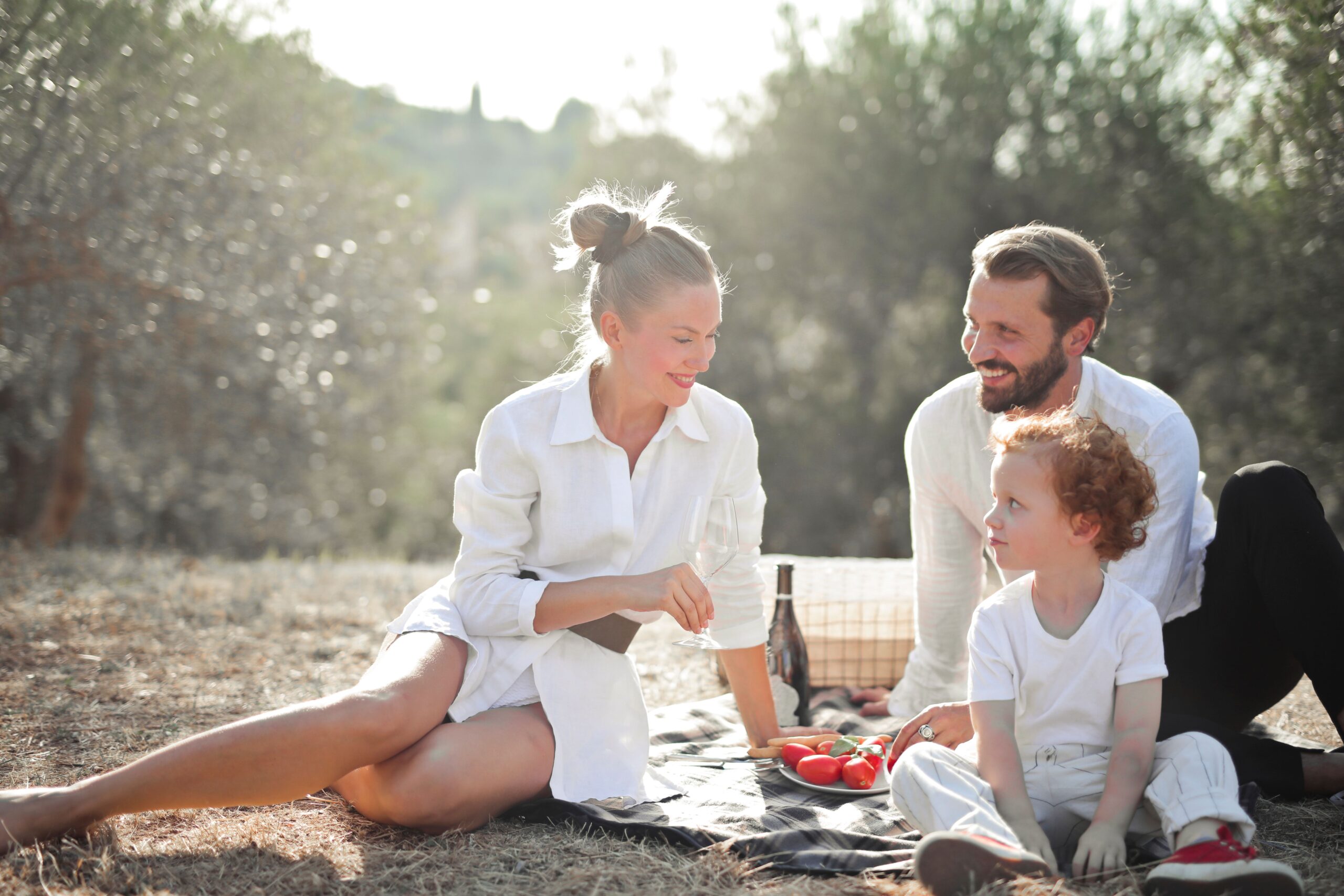 Family having a picnic
