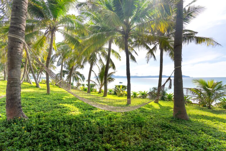 The Beauty of a Messier Yard: How Rewilding Is Changing the Way We Think About Outdoor Spaces