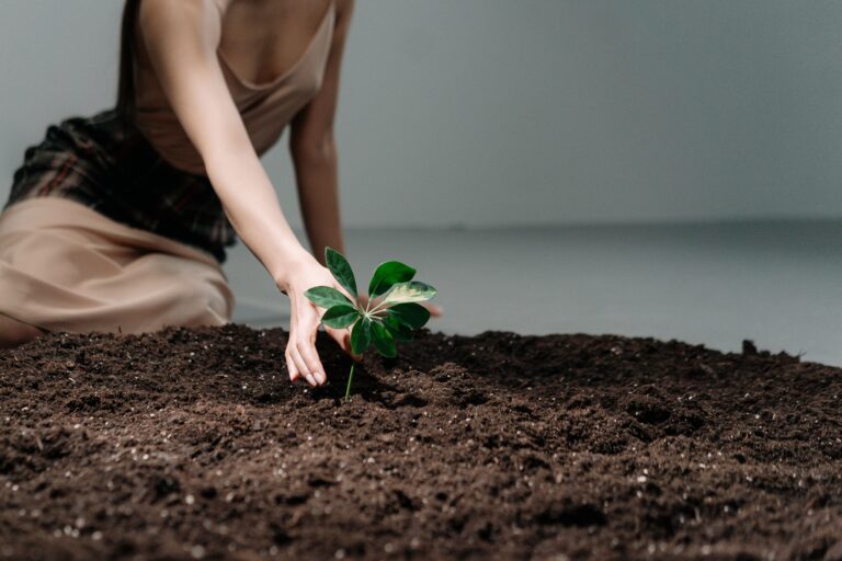 Sustainability Is Starting to Feel Like a Personality Trait