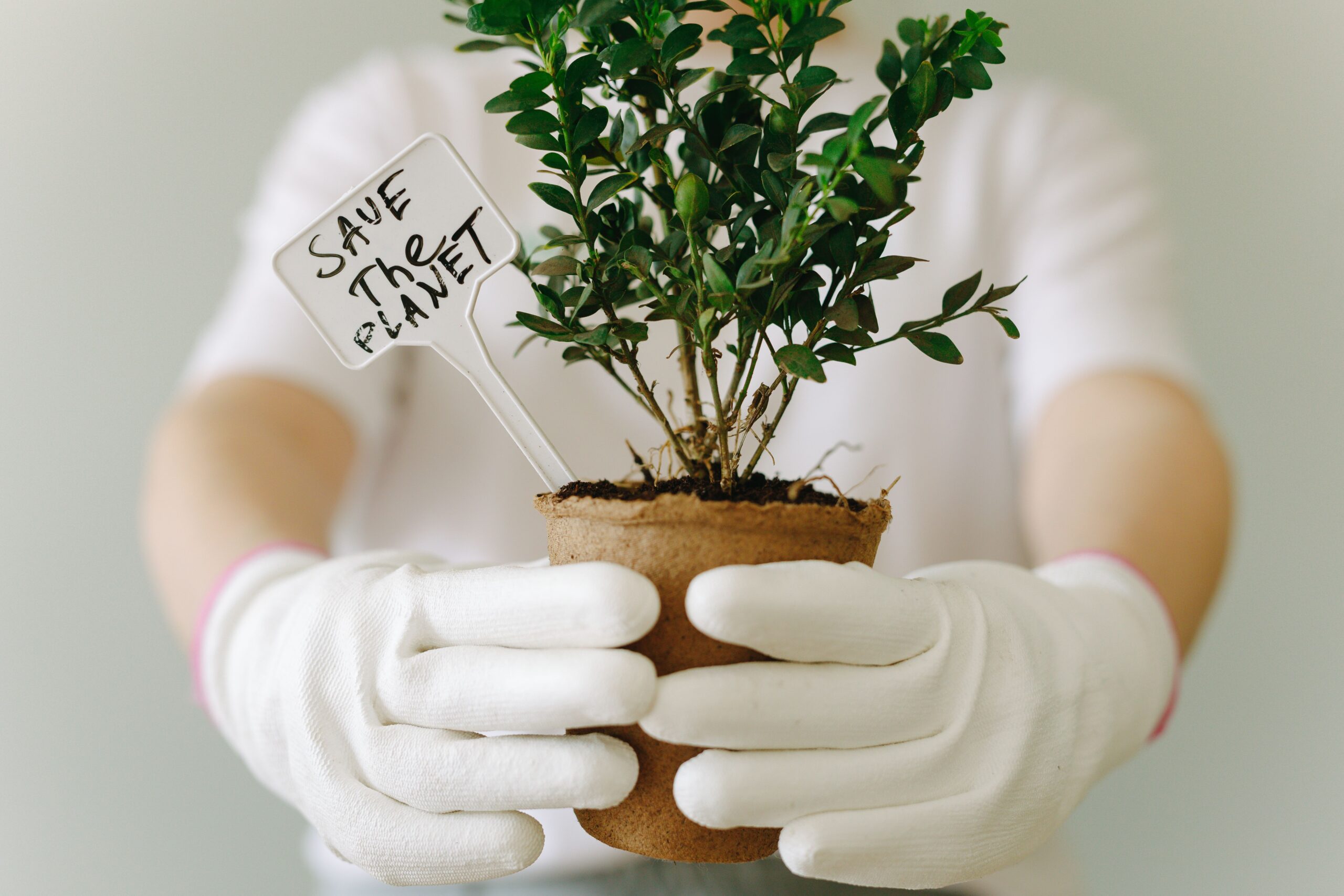 SAVE DA PLANET