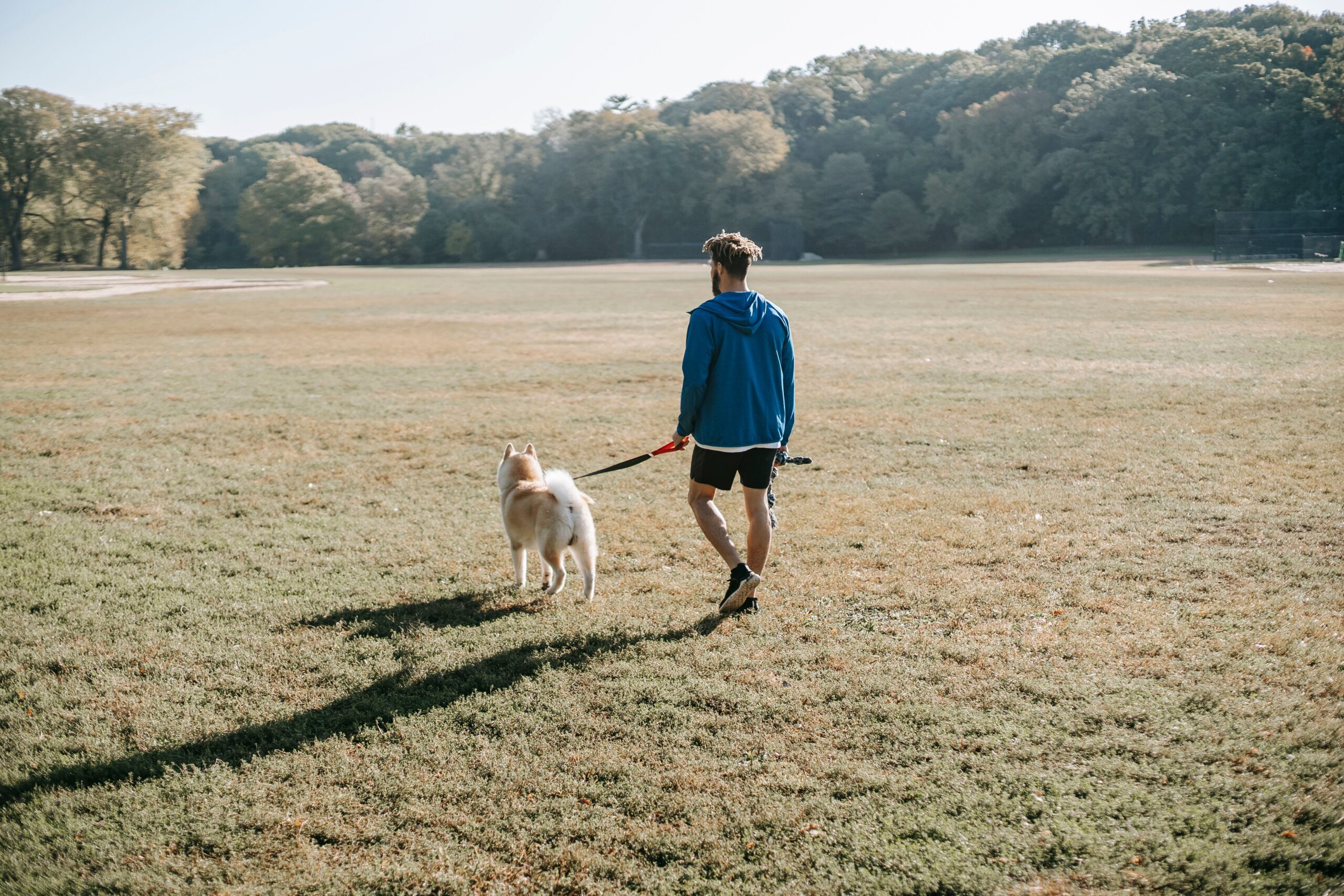 Walking dog